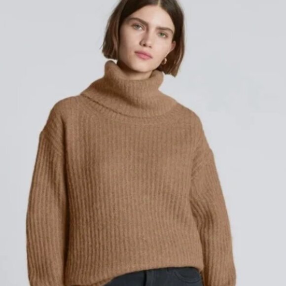 Everlane Alpaca Oversized Turtleneck Sweater (Size S) - Picture 2 of 7